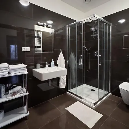 Wellness Moser كارلوفي فاري