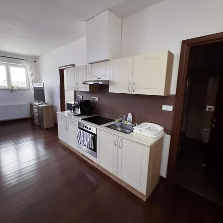 Wellness Moser Apartamento Karlovy Vary