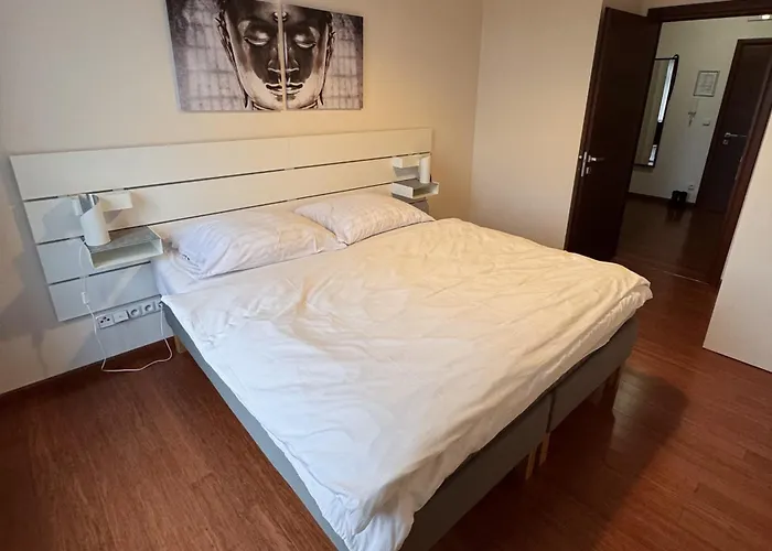 Wellness Moser Apartmán *