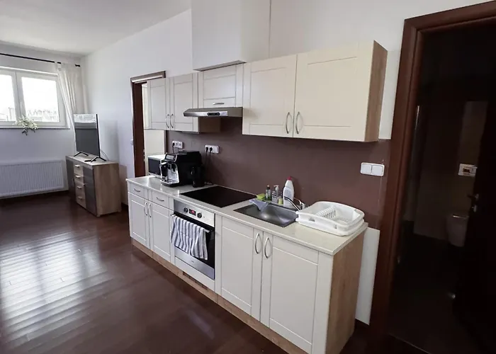 Wellness Moser Apartmán Karlovy Vary